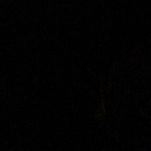 Meet your Posher, Milica